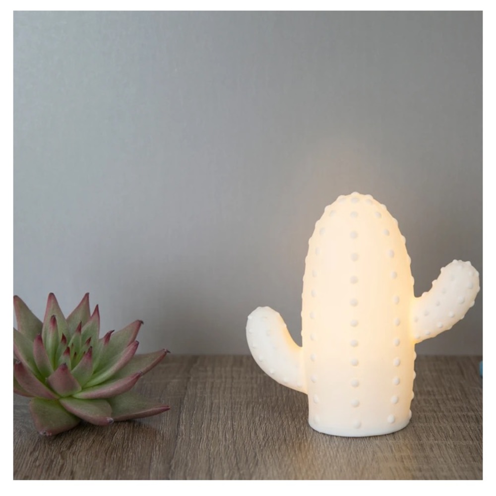 Small Cactus LED light